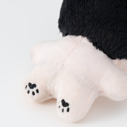 体育の佐藤先生