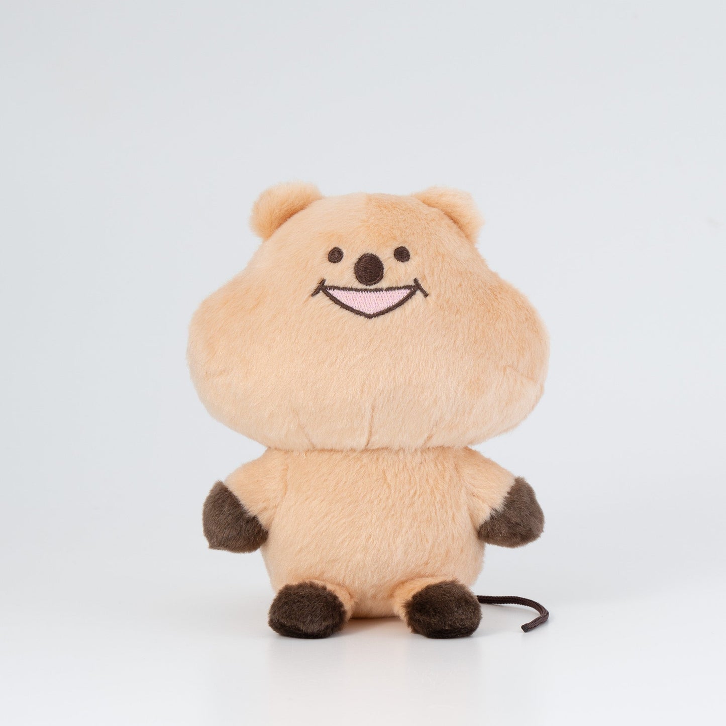 Tipitan